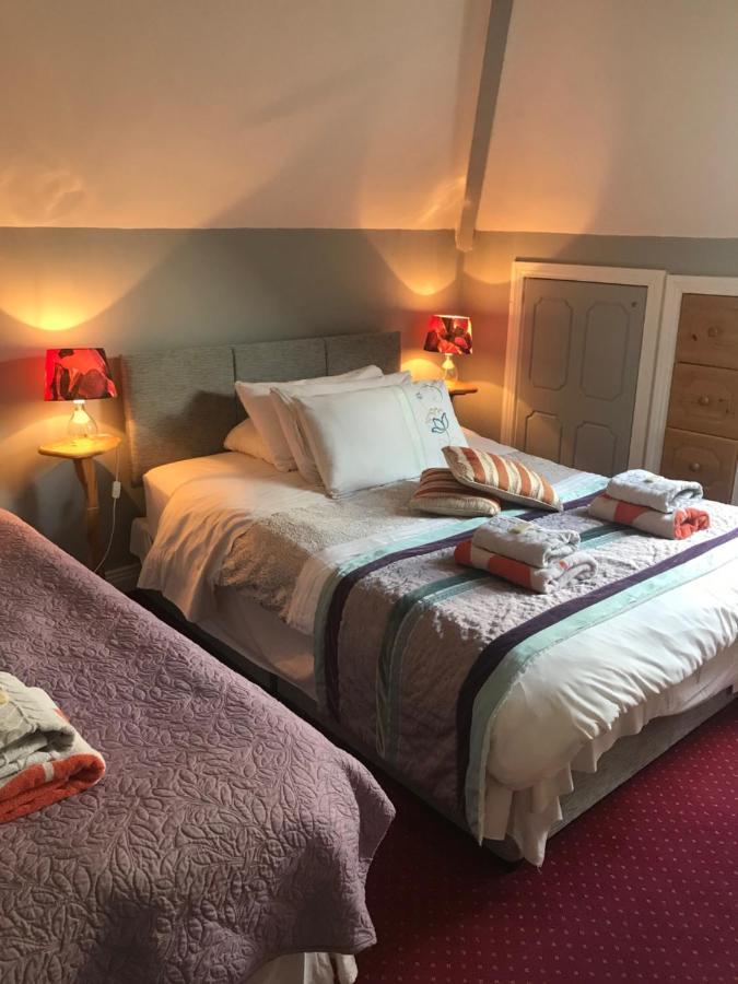Aurora House Bed And Breakfast Athy Exterior photo